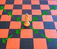 the move of the chess bishop