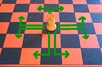 the move of the chess knight (known by beginners as the horse)