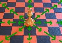 the move of the chess queen