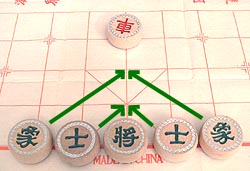 neat symmetry of the advisors and elephants in xiangqi (Chinese chess)