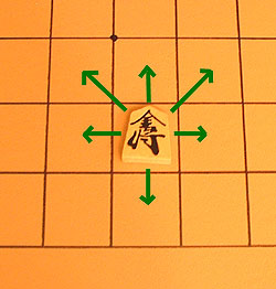 the move of the gold general in shogi (Japenaese chess), a unique move among major chess variants