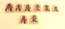 the chessmen of shogi (Japenese chess)